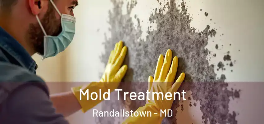  Mold Treatment Randallstown - MD