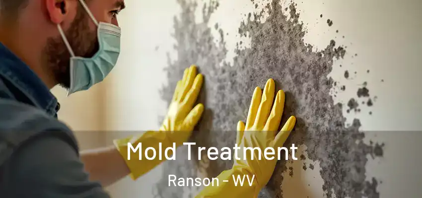  Mold Treatment Ranson - WV