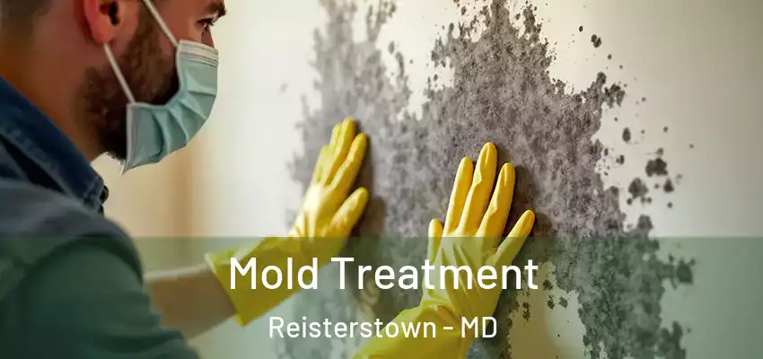  Mold Treatment Reisterstown - MD