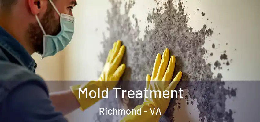  Mold Treatment Richmond - VA