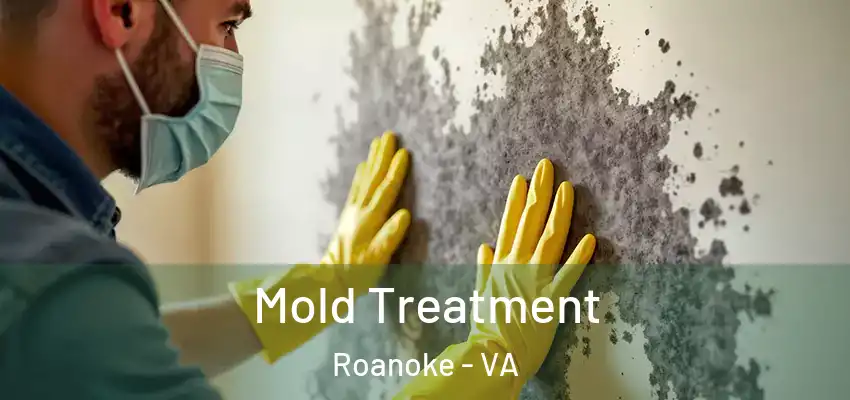  Mold Treatment Roanoke - VA
