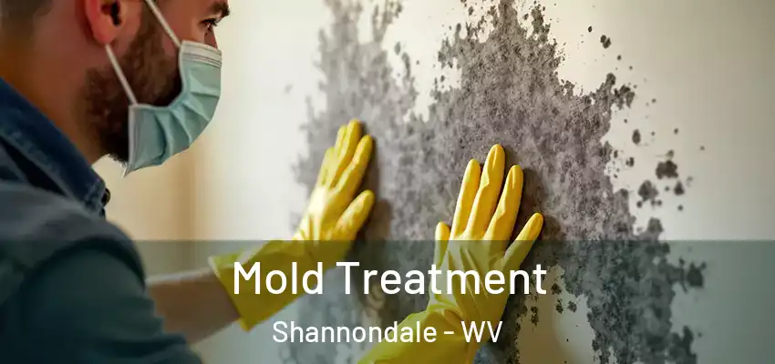 Mold Treatment Shannondale - WV