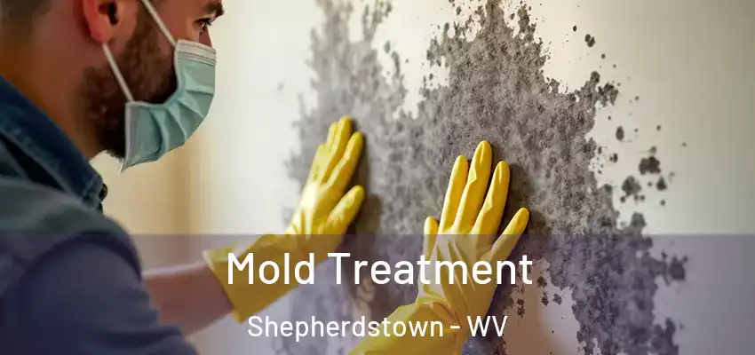 Mold Treatment Shepherdstown - WV