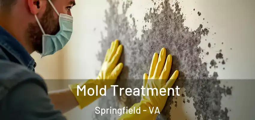 Mold Treatment Springfield - VA