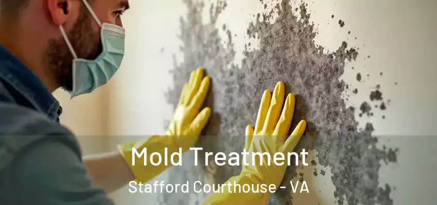 Mold Treatment Stafford Courthouse - VA