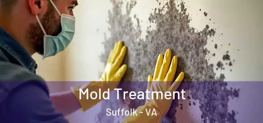 Mold Treatment Suffolk - VA