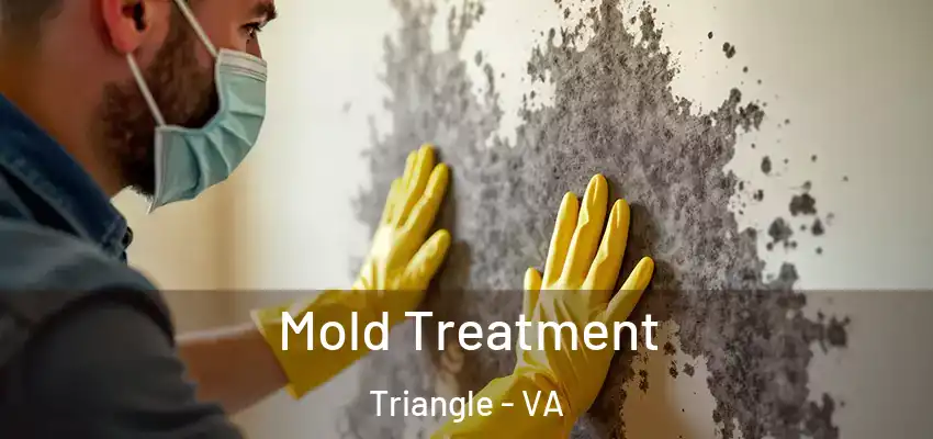  Mold Treatment Triangle - VA