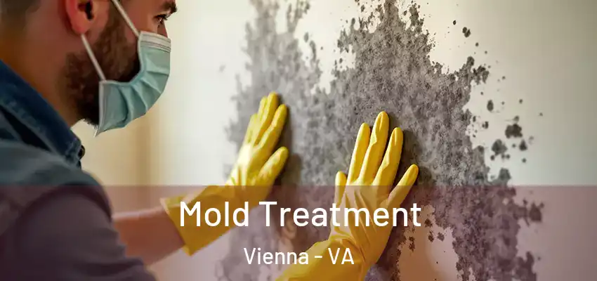  Mold Treatment Vienna - VA