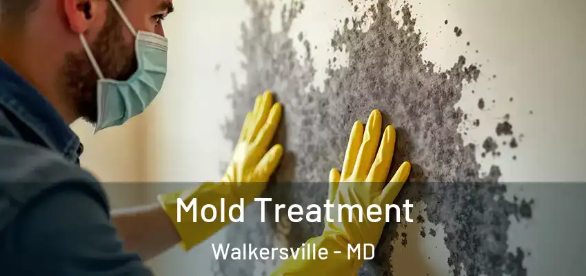  Mold Treatment Walkersville - MD