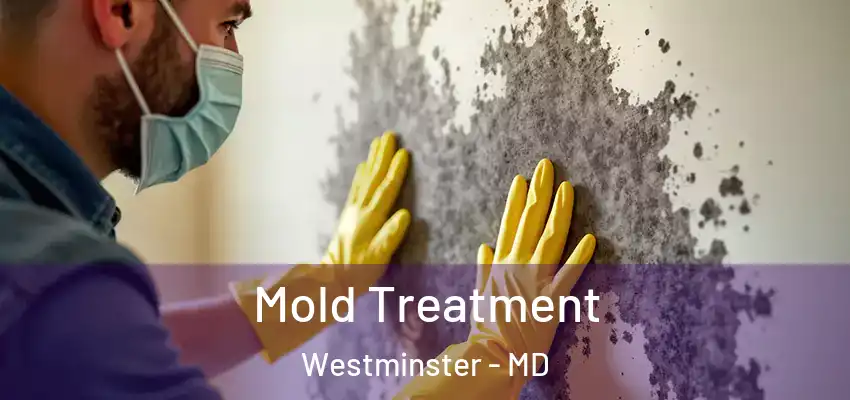 Mold Treatment Westminster - MD