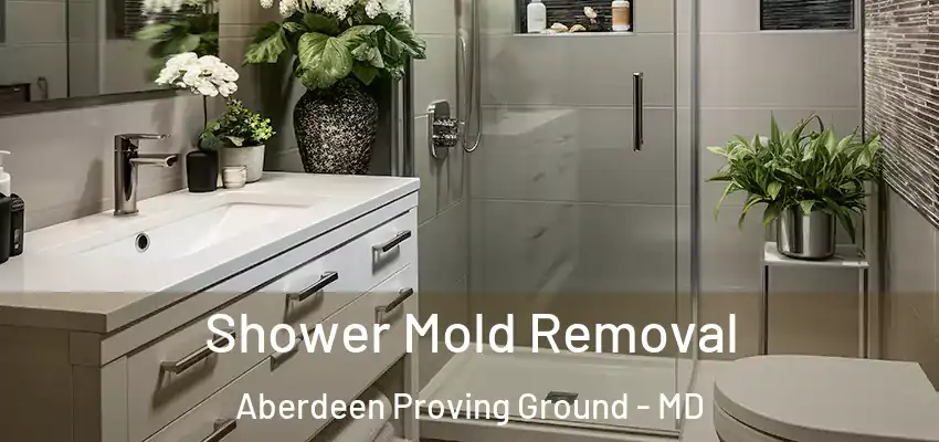 Shower Mold Removal Aberdeen Proving Ground - MD