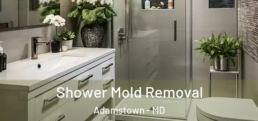 Shower Mold Removal Adamstown - MD