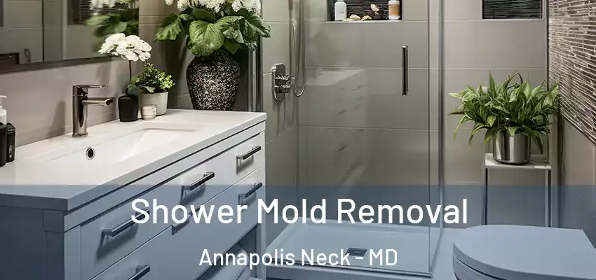 Shower Mold Removal Annapolis Neck - MD
