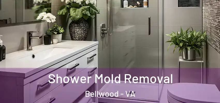 Shower Mold Removal Bellwood - VA