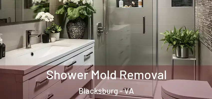 Shower Mold Removal Blacksburg - VA