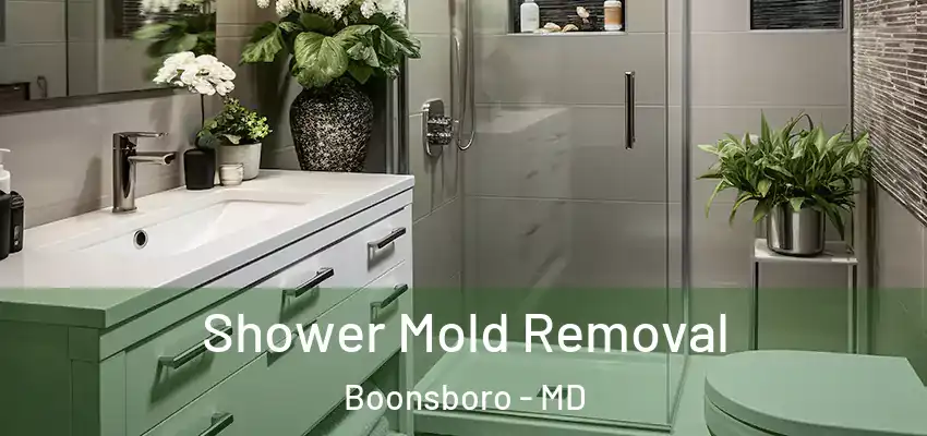Shower Mold Removal Boonsboro - MD