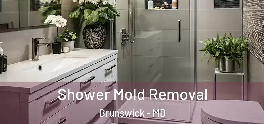 Shower Mold Removal Brunswick - MD