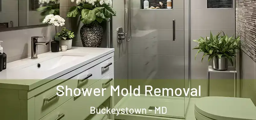 Shower Mold Removal Buckeystown - MD