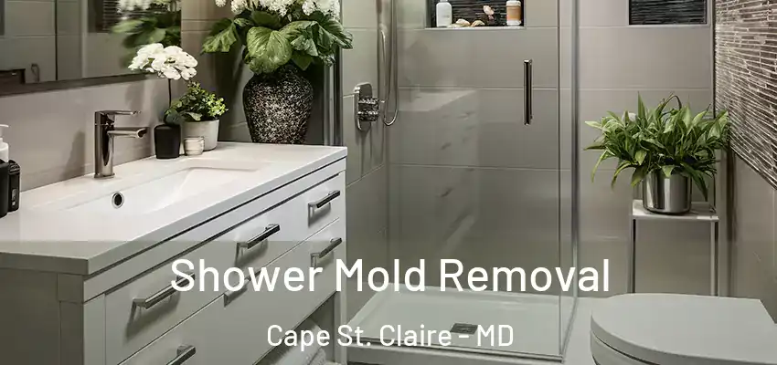 Shower Mold Removal Cape St. Claire - MD