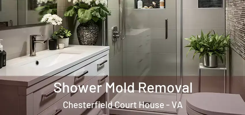 Shower Mold Removal Chesterfield Court House - VA