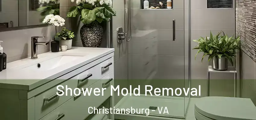 Shower Mold Removal Christiansburg - VA