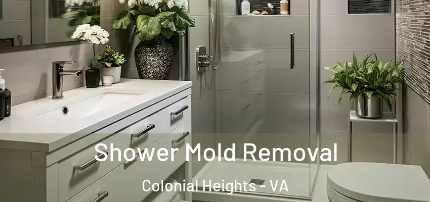Shower Mold Removal Colonial Heights - VA