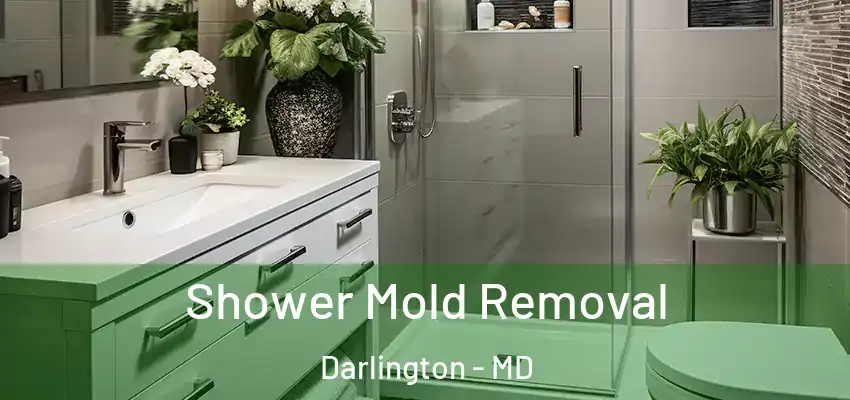Shower Mold Removal Darlington - MD