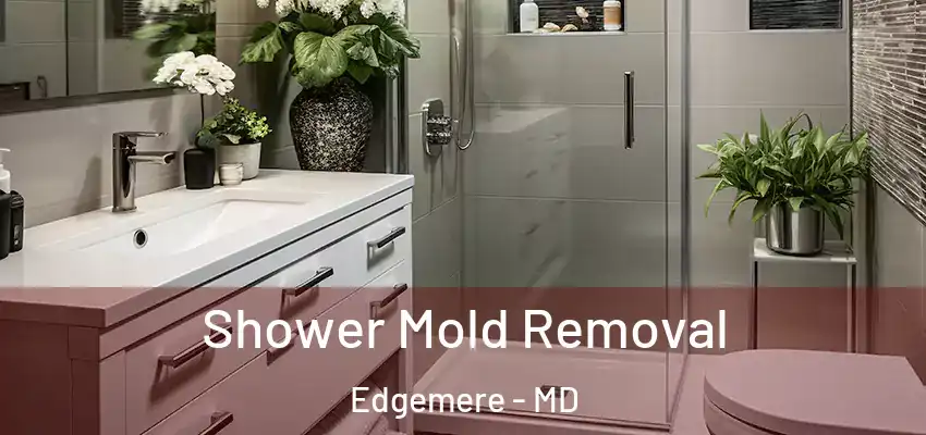 Shower Mold Removal Edgemere - MD
