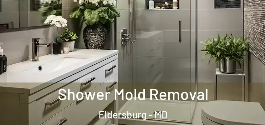 Shower Mold Removal Eldersburg - MD