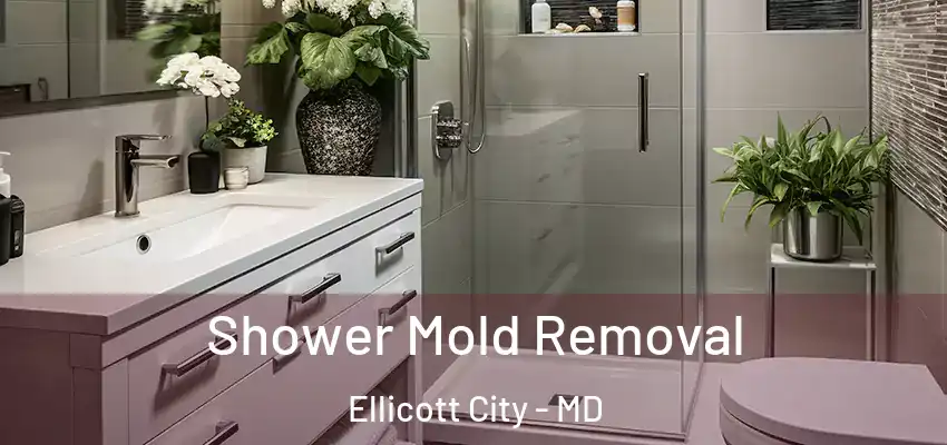 Shower Mold Removal Ellicott City - MD
