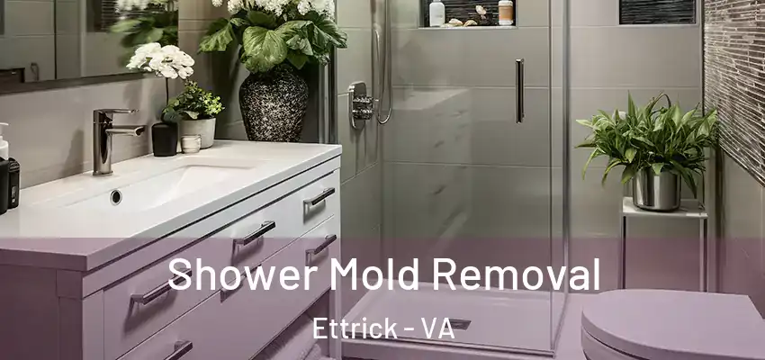 Shower Mold Removal Ettrick - VA