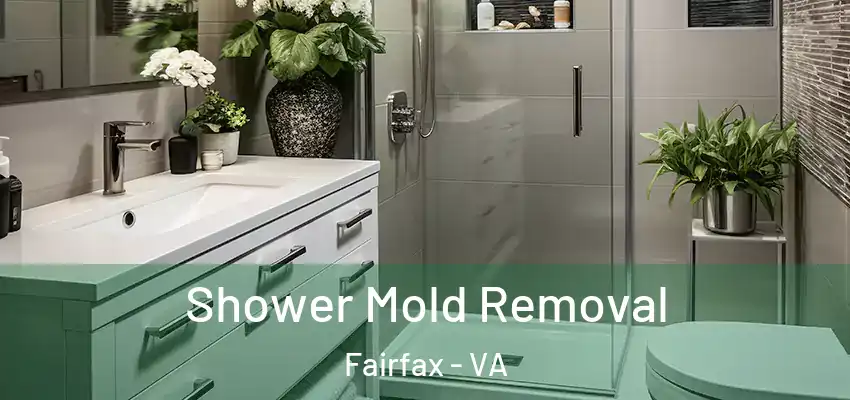 Shower Mold Removal Fairfax - VA