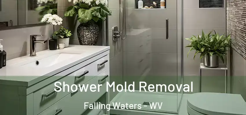 Shower Mold Removal Falling Waters - WV