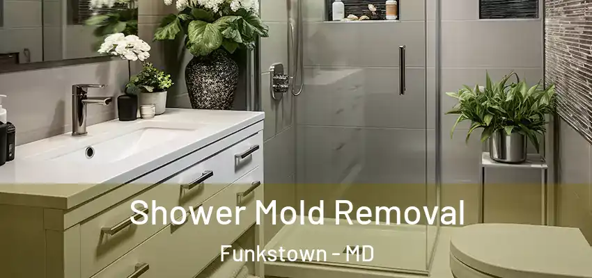Shower Mold Removal Funkstown - MD
