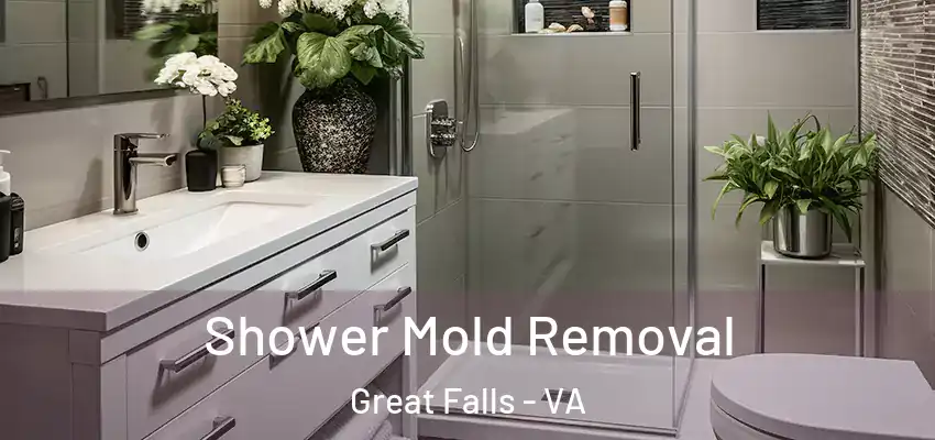  Shower Mold Removal Great Falls - VA