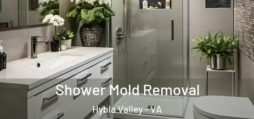 Shower Mold Removal Hybla Valley - VA