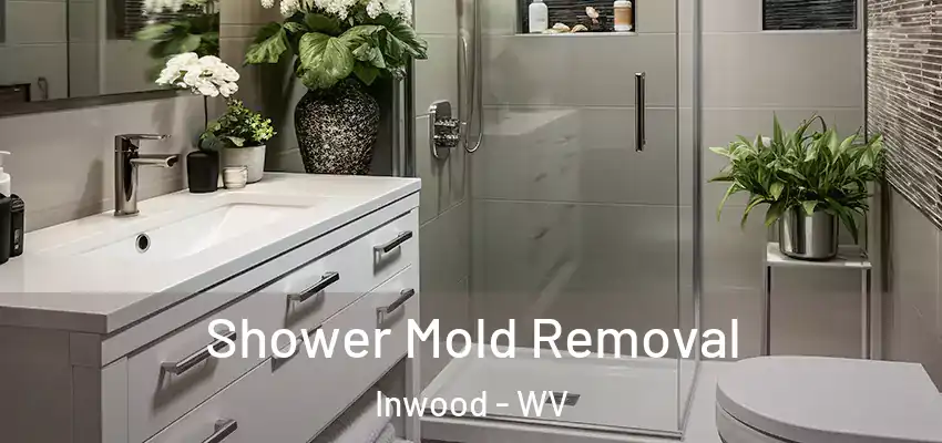  Shower Mold Removal Inwood - WV