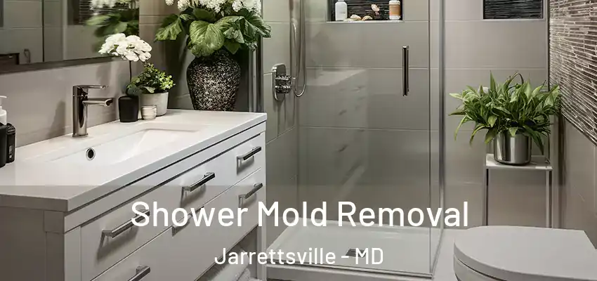 Shower Mold Removal Jarrettsville - MD