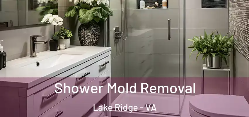 Shower Mold Removal Lake Ridge - VA