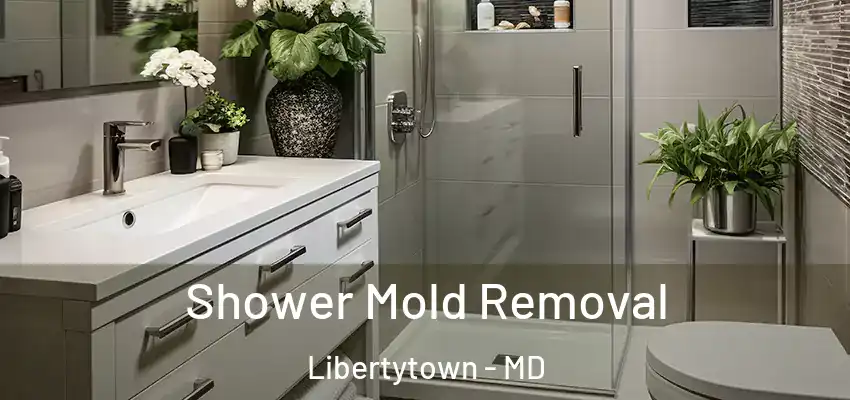 Shower Mold Removal Libertytown - MD