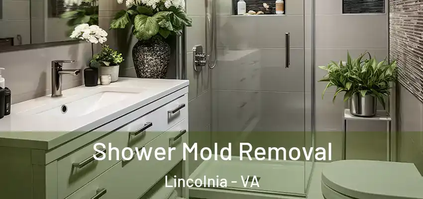 Shower Mold Removal Lincolnia - VA
