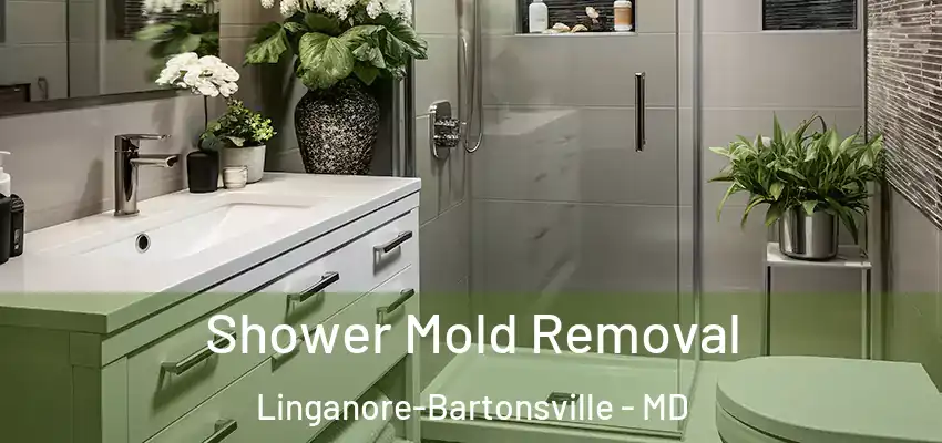 Shower Mold Removal Linganore-Bartonsville - MD