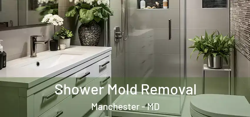  Shower Mold Removal Manchester - MD