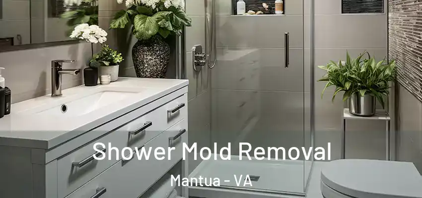  Shower Mold Removal Mantua - VA