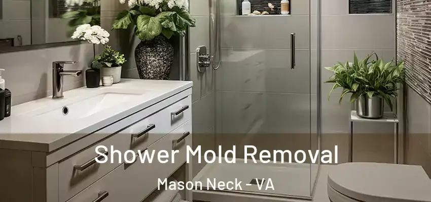 Shower Mold Removal Mason Neck - VA
