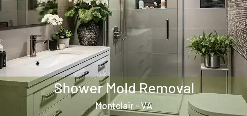 Shower Mold Removal Montclair - VA