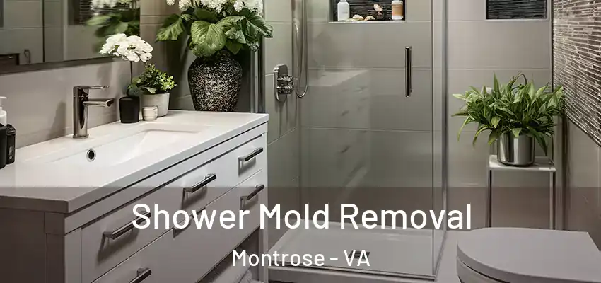  Shower Mold Removal Montrose - VA
