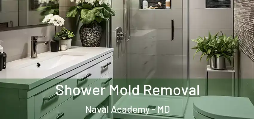 Shower Mold Removal Naval Academy - MD