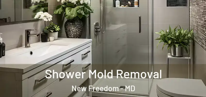 Shower Mold Removal New Freedom - MD