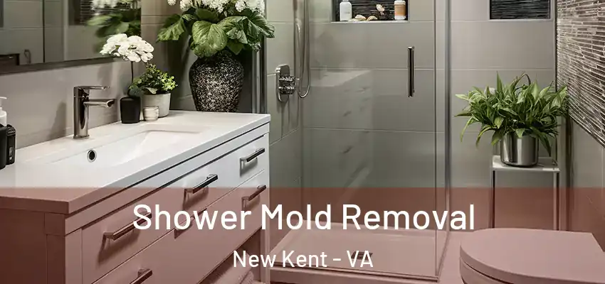 Shower Mold Removal New Kent - VA